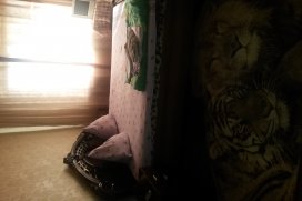 Квартира посуточно в Киеве на ул. Урицкого, 23