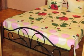 Квартира посуточно в Киеве на ул. Мечникова, 8